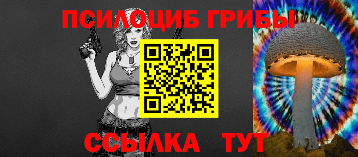 Карталы  Галлюциногенные грибы Psilocybine cubensis  Вход с VPN  Галлюциногенные грибы Cubensis 
